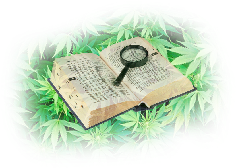 Humo En Forma De O - Converse Baggins Original Hi Top Bc Camo (1000x667), Png Download