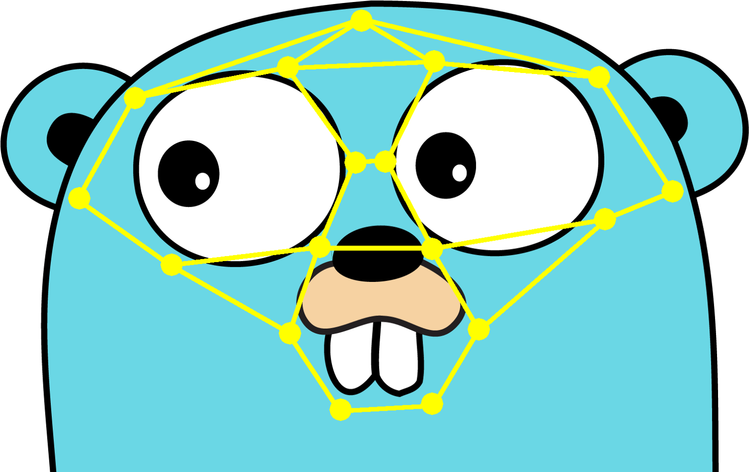 Face Recognition With Go - Gopher Go (1600x930), Png Download