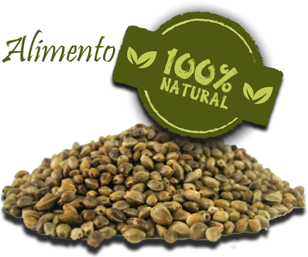 La Semilla De Cáñamo Como Alimento - Sterilized, Hemp Seeds, 1 To10 Lbs - 1 Lb. - 1.3 (435x387), Png Download