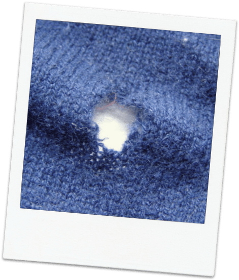 Dreaded Moth Holes - Moth Holes In Clothes (477x556), Png Download
