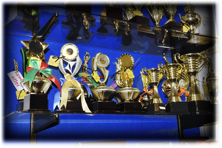 Furnifitsfurnifits - Furni Fits Trophies (pvt) Ltd. (463x308), Png Download