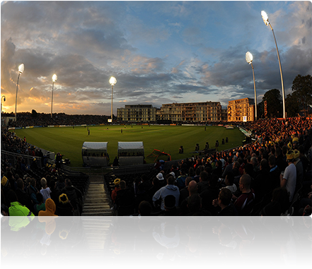 Cricket (440x400), Png Download