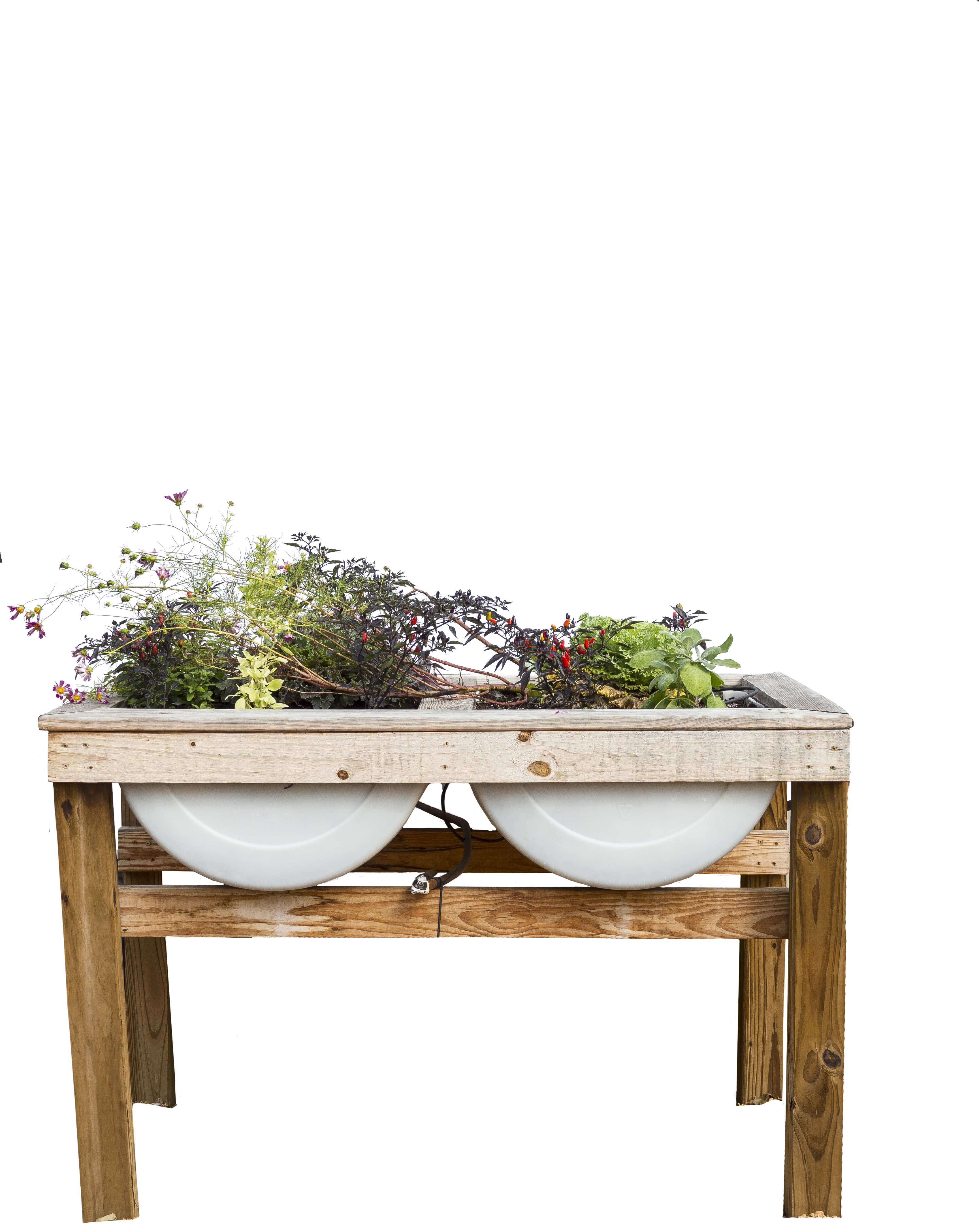 Such As Improved Planting Media, Good Drainage And (3456x5184), Png Download