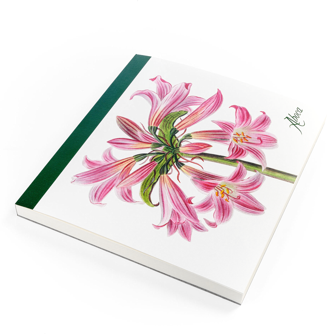 Picture Of Flower Desk Belladonna Lily - Jersey Lily (1280x1280), Png Download