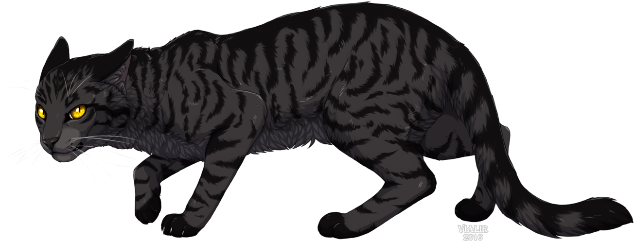 Arrow Of Time - Warrior Cats Dunkelstreif (1317x606), Png Download