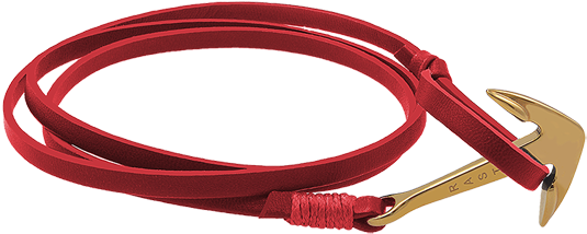 Gold Anchor-red - Ethernet Cable (550x309), Png Download