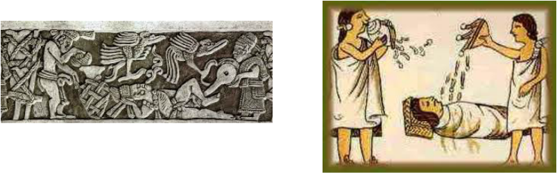 Mayan Sickness (803x250), Png Download