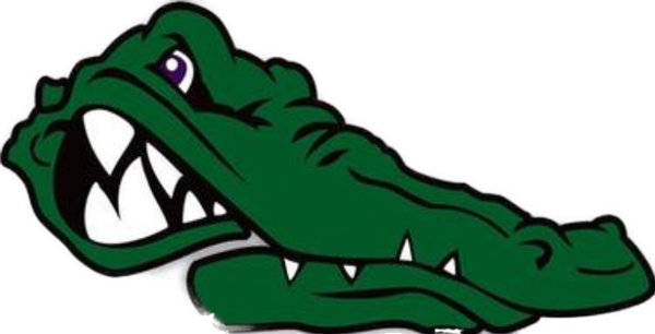 2018/19 Junior Varsity Boys Basketball Team - Florida Gators Football (600x306), Png Download