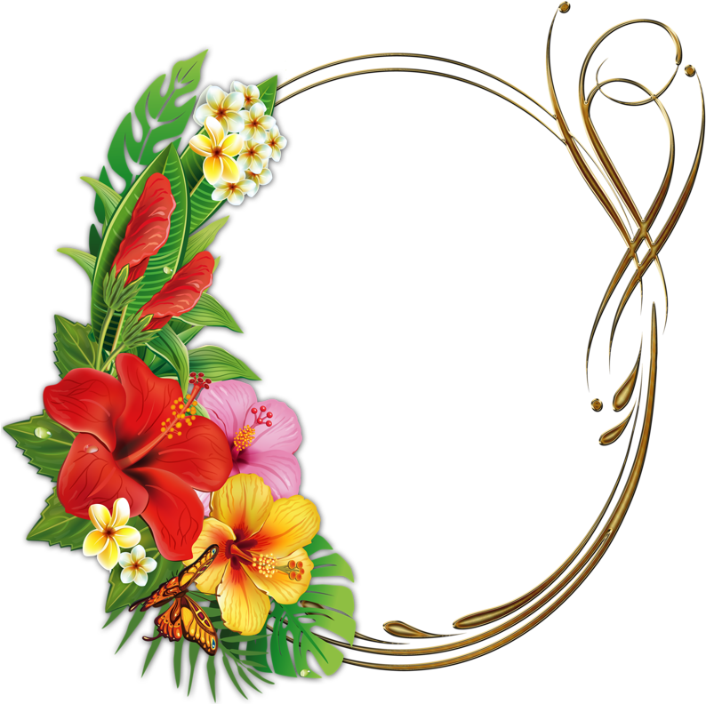 Fotki Tropical Frames Borders And Frames Flower Frame Frame Tropical Png Full Size Png Download Seekpng