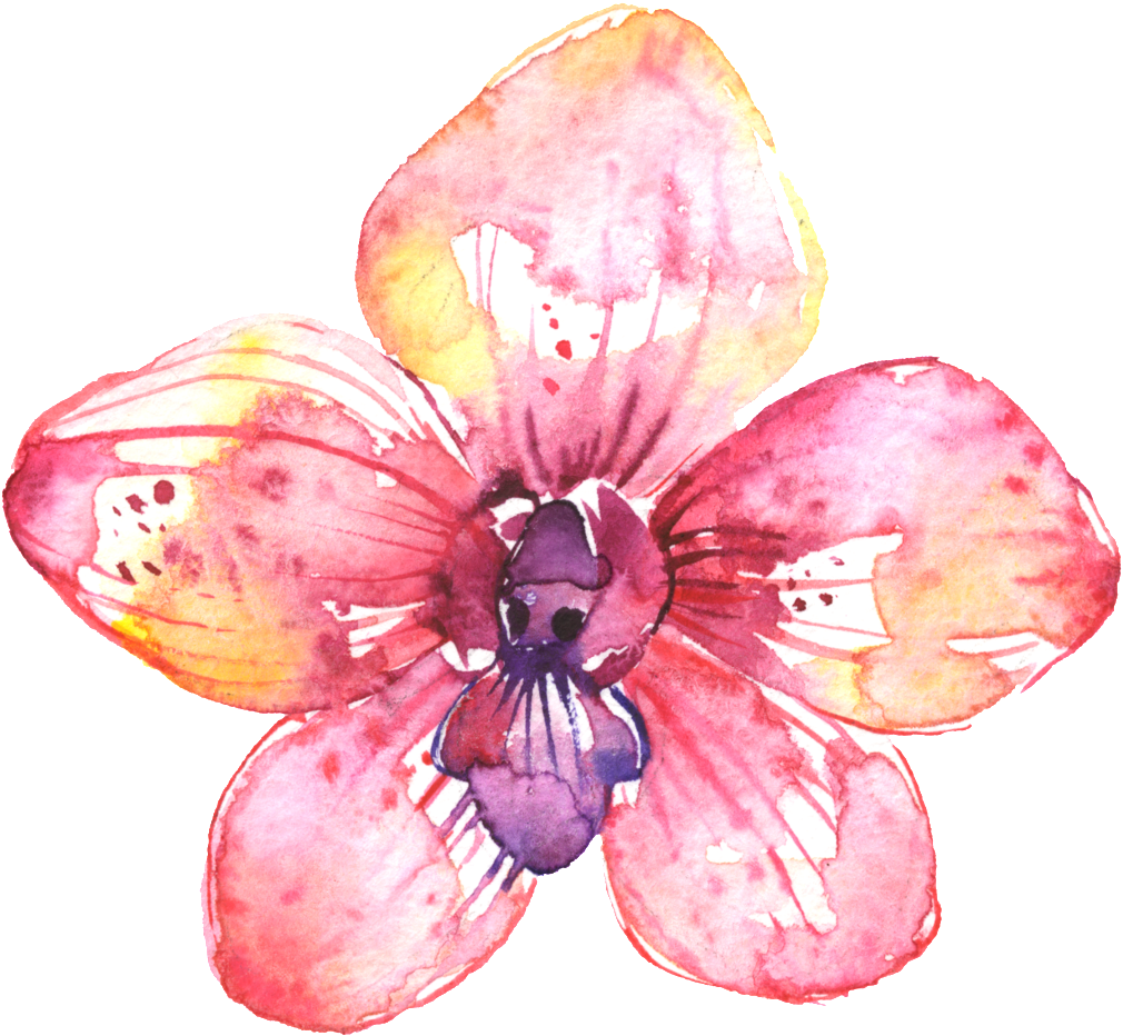 Painted Flower Petalos Rosa Png Estético (1024x1024), Png Download