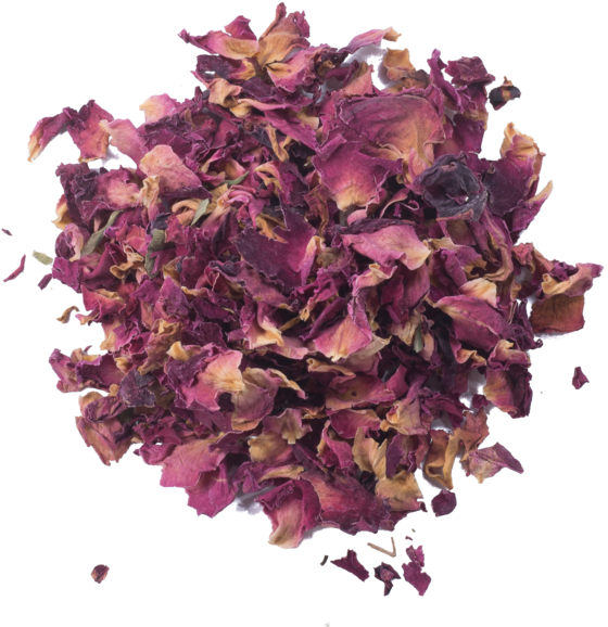 Petal (600x600), Png Download