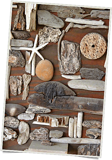 Bring The Beach Into Your Bedroom - Plank (385x561), Png Download