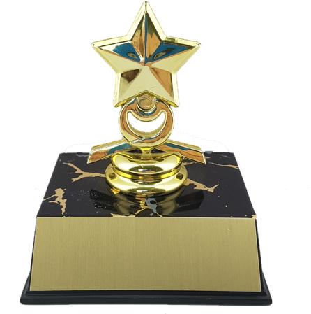 Star, 03 Style, Smallest - Trophy (500x500), Png Download