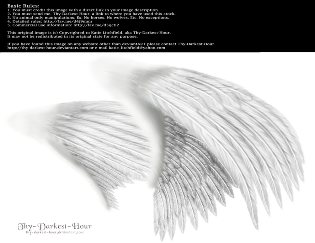 날개 - Angel Wings Png Side (1003x796), Png Download