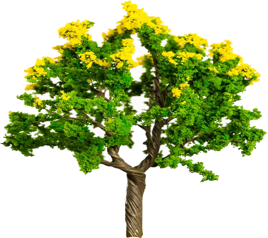 Flower Trees With Model Green And Yellow Mixed Leaves - Tree (538x479), Png Download