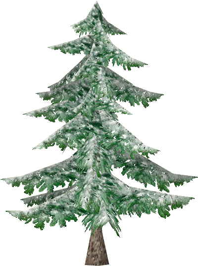 Snowy Balsem Fir - Christmas Tree (535x535), Png Download