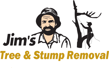 Jims Group (450x290), Png Download