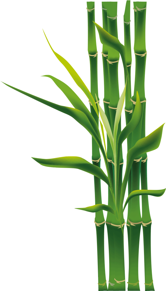 Free Download Bamboo Png Clipart Tropical Woody Bamboos - Asian Bamboo (1000x1000), Png Download
