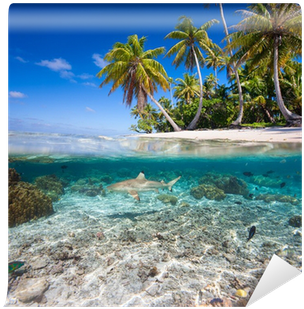 Go To Image - Tropical Island Shark (400x400), Png Download