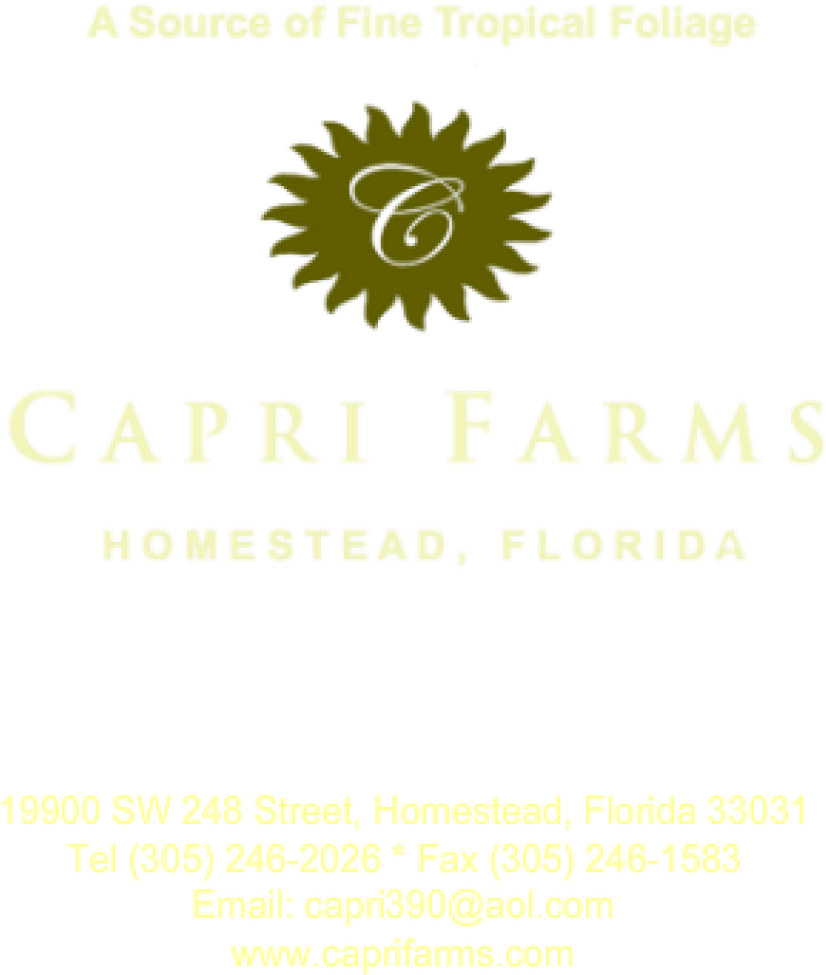 Cropped Capri Farms Twitter Background With Address - Floral Design (1000x1005), Png Download