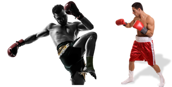 Peleadores De Muay Thai En El Campeonato ''guantes - Sac De Frappe De Vitesse (600x282), Png Download