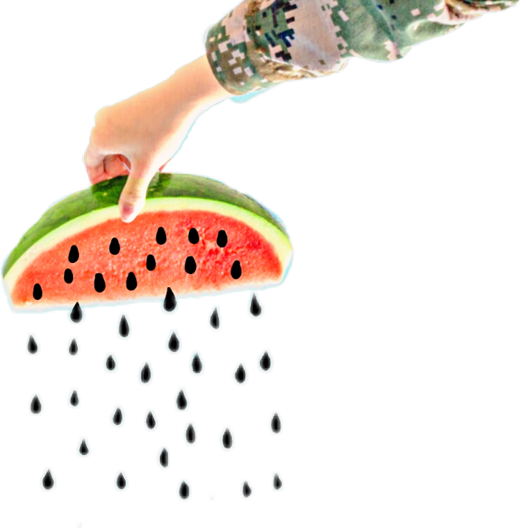 Seedless Fruit (750x759), Png Download