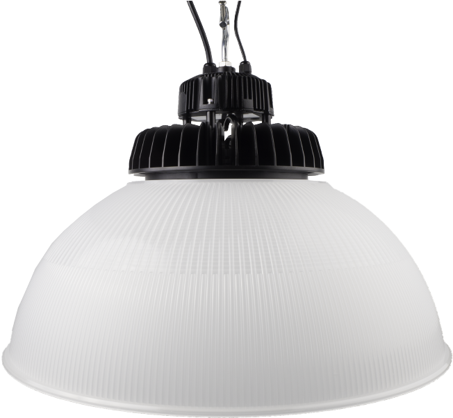 Everlast Lighting Inc. (800x600), Png Download