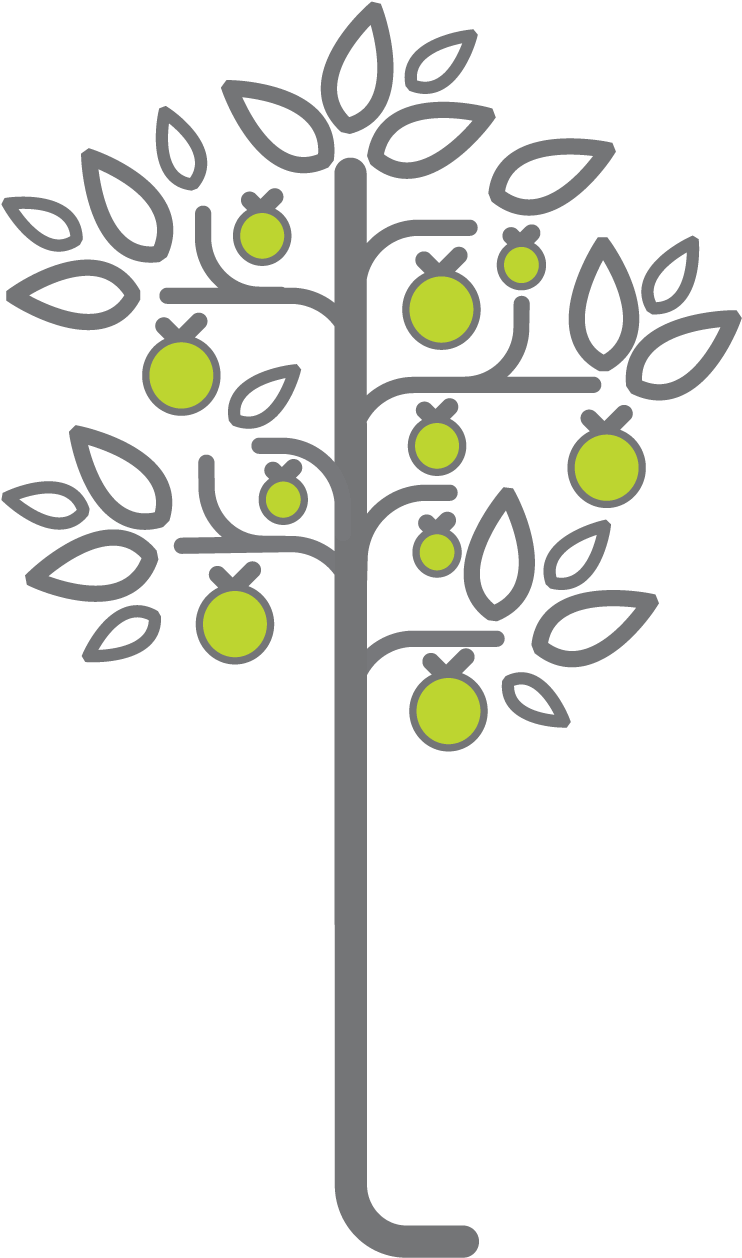 The Branches - Tree (778x1308), Png Download