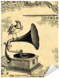 Bird Of Paradise Oversized Gallery Wrapped Canvas (400x400), Png Download