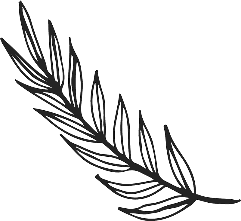 Branch With Long Leaves Rubber Stamp - Leaf Branch Drawing Png (800x800), Png Download