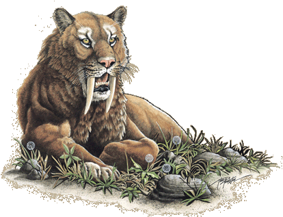 Wc182 Sabertooth Tig - Masai Lion (420x317), Png Download