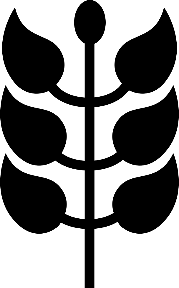 Branch With Leaves - Branch (608x980), Png Download