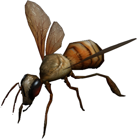 Bee - Fallout Wasps (580x522), Png Download