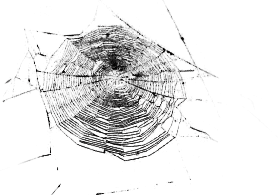 La Araña Blanca, Pequeña, De Un Milímetro O Menos, - Telarañas Blancas Png (570x400), Png Download