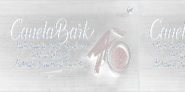 Free Canela Bark Font - Emblem (728x364), Png Download