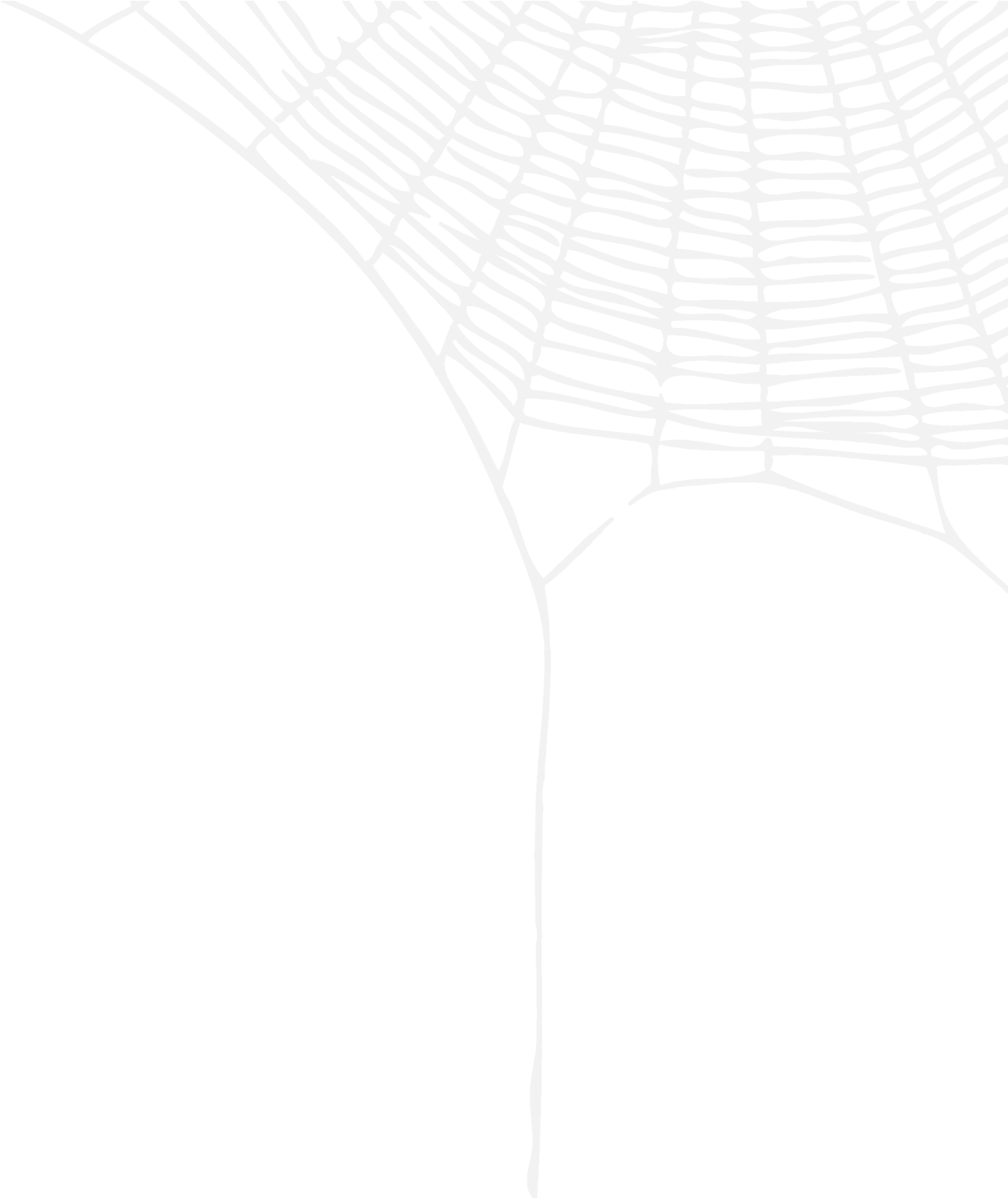 Umbrella (2000x1726), Png Download