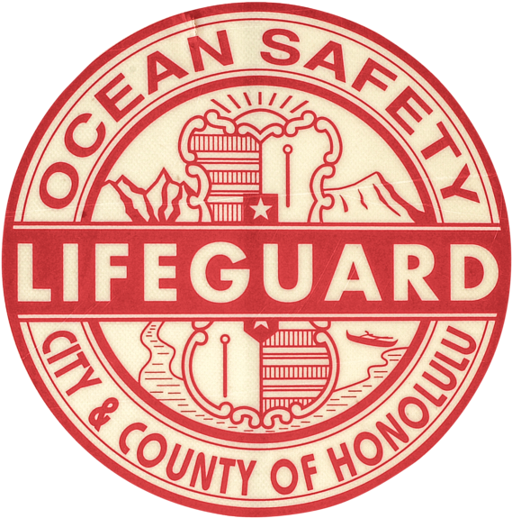 Bleed Area May Not Be Visible - Lifeguard In Hawaii Shirt (600x610), Png Download