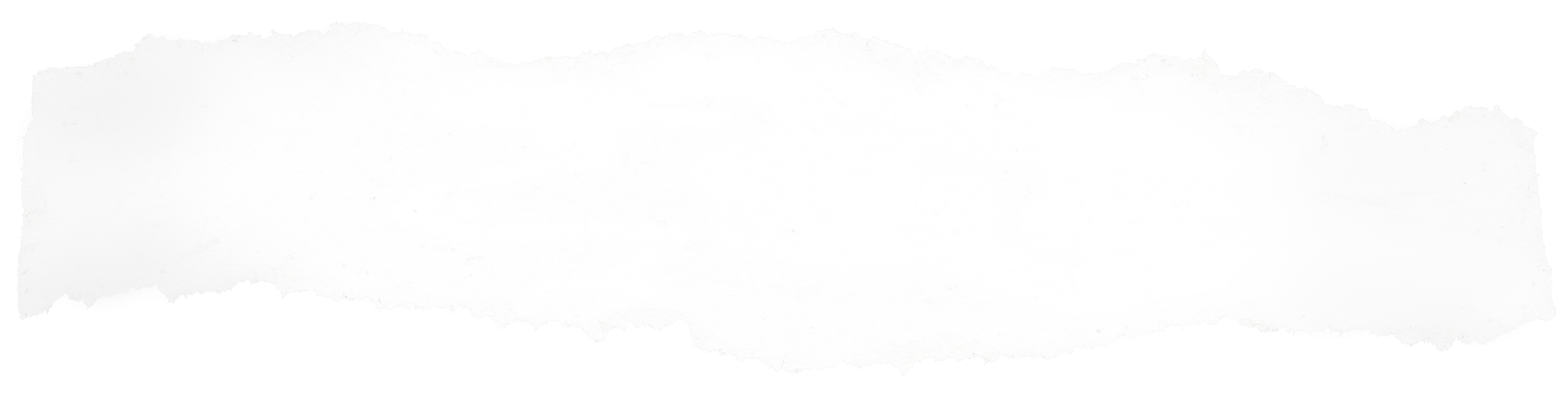 Next Step - Tree (4705x1261), Png Download