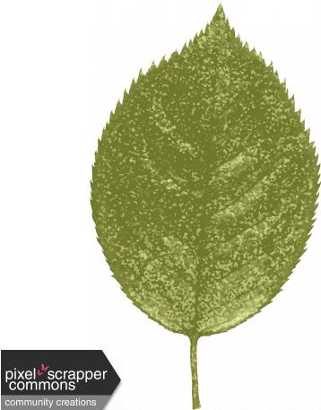 Grunge And Roses - Digital Scrapbooking (456x456), Png Download