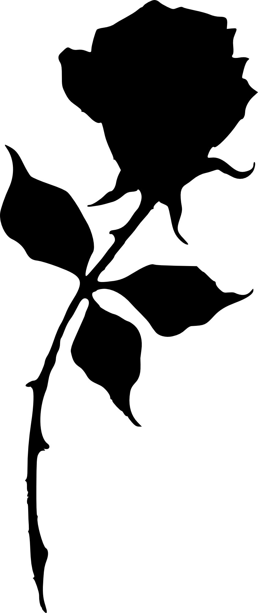 Free Png Rose Silhouette Png Images Transparent - Rose Silhouette (480x1141), Png Download