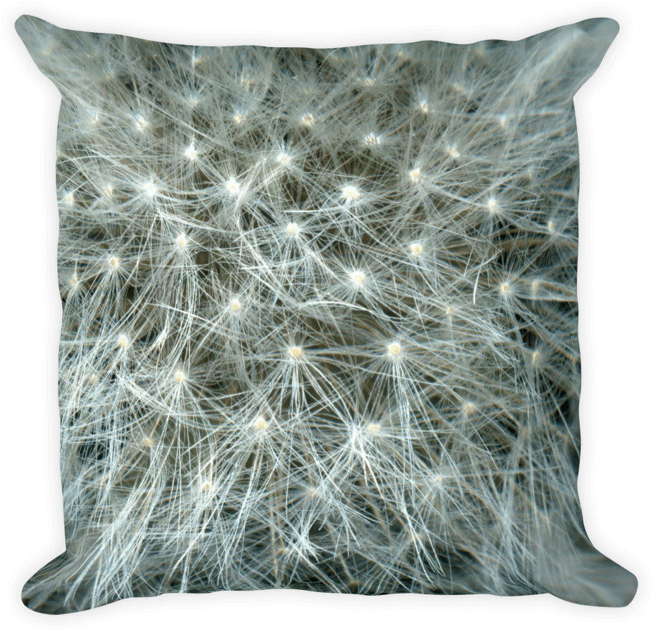 Dandelion Seeds Pillow - Throw Pillow (1000x1000), Png Download