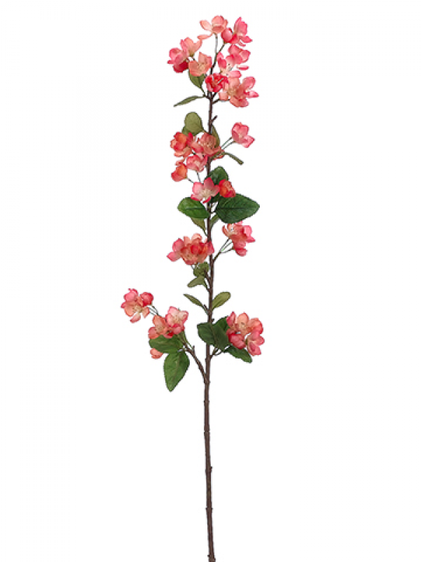 42" Apple Blossom Spray Two Tone Coral - Allstate 42" Apple Blossom Stem, Two Tone Coral (800x800), Png Download