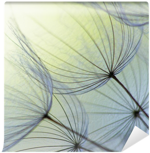 Dandelion Seed Wall Mural • Pixers® • We Live To Change - Dandelion Personal Checks (400x400), Png Download