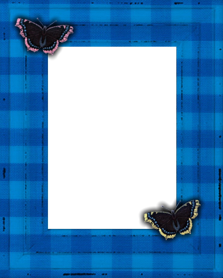 Blue Frame - Png Format - Blue Butterfly Frames (740x923), Png Download