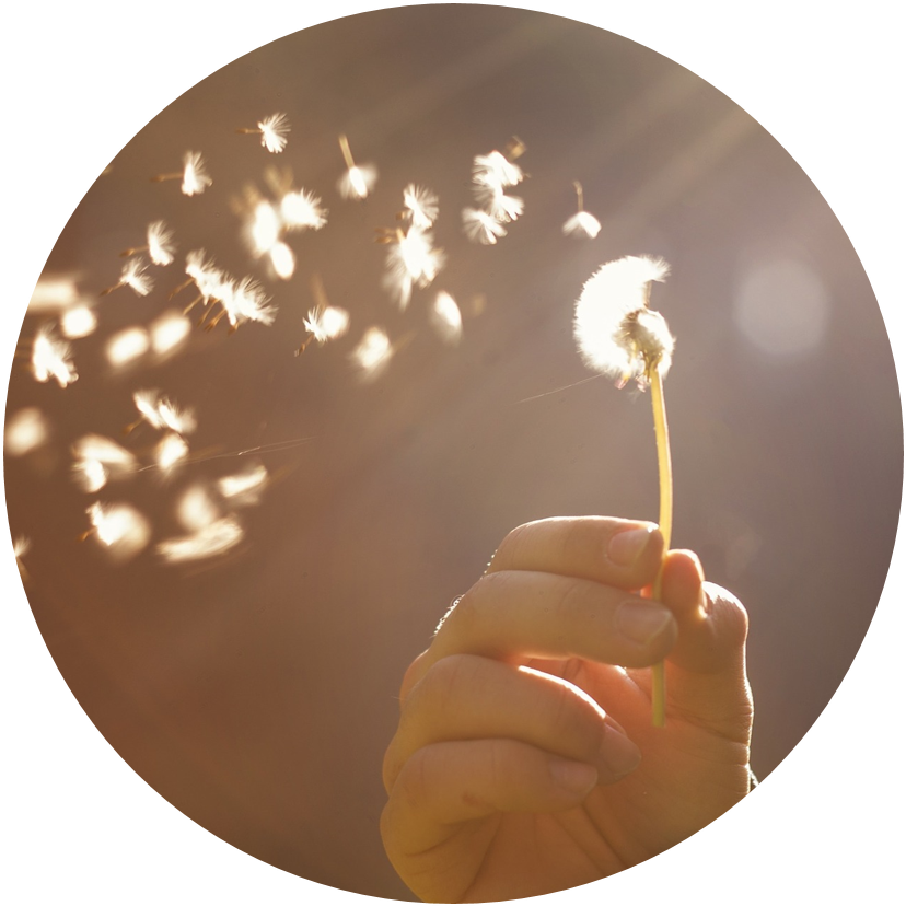 Noticing Thoughts Release Mindfully (1650x1097), Png Download