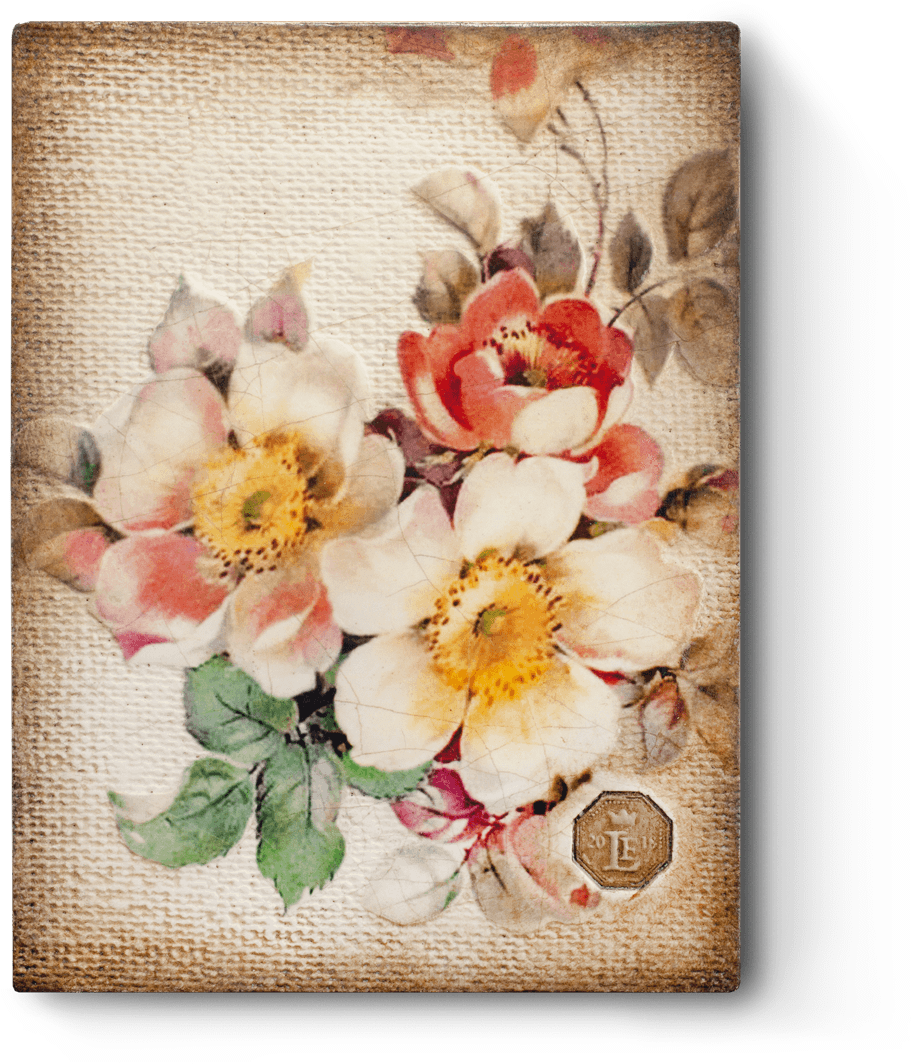Rle18-01 Apple Blossom - Sid Dickens Inc (1100x1100), Png Download