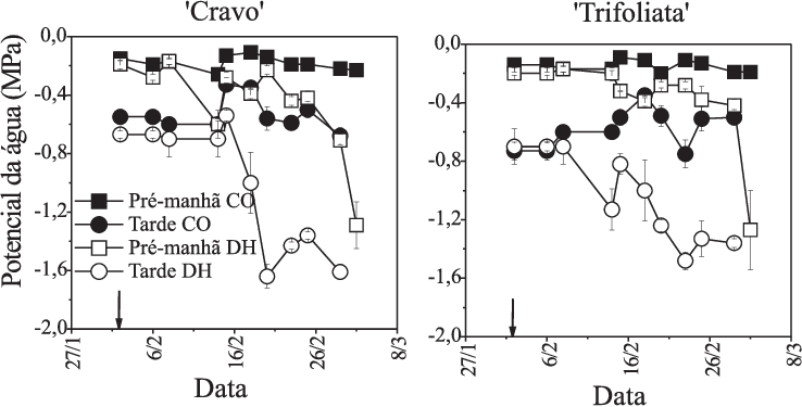 Potencial Da Água Na Folha Em Laranjeira 'valência' - Diagram (738x375), Png Download