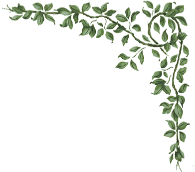 Free Borders For Scrapbooking - Décoration Coin De Page (391x345), Png Download