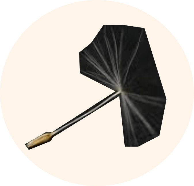 Scientific - Umbrella (674x644), Png Download
