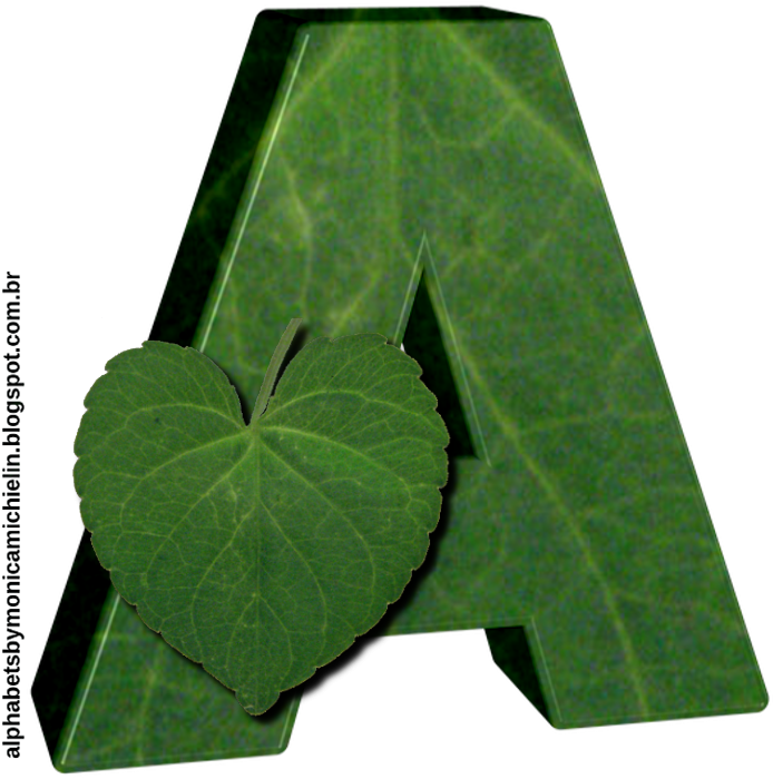 Folha Em Forma De Coração Alfabeto Png - Alphabet (720x720), Png Download